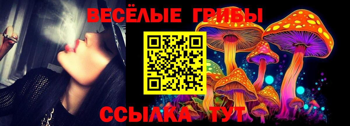 Кыштым  Галлюциногенные грибы Psilocybine cubensis  Вход с VPN  Галлюциногенные грибы Magic Shrooms 